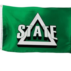 Desert Cactus Delta State Flag 3x5 Outdoor