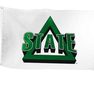 Desert Cactus Delta State Flag 3x5 Outdoor - Image 3