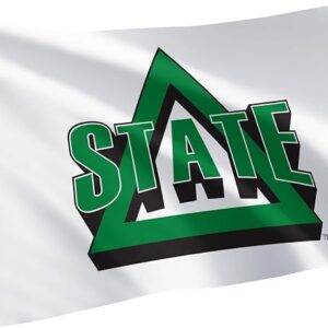 Desert Cactus Delta State University Statesmen Flag 3x5 Outdoor (A)